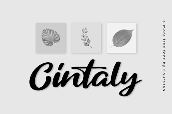 Cintaly: A Modern Script Typeface for Creative Branding