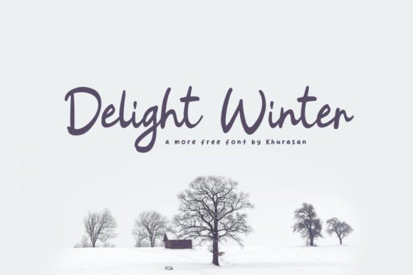 Delight Winter: The Modern Calligraphy Script Font for Web Design